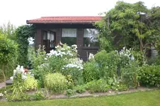 Garten 2 07 2013 026.webp
