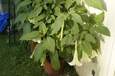 _DSC2133.webp