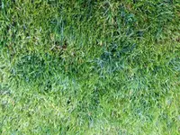 image-7.webp