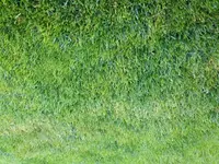 image-6.webp