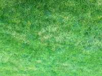 image-1.webp