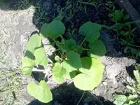 IMG_20130707_120858.webp