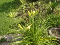 Garten 007.webp