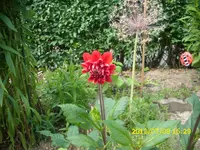 Garten 011.webp