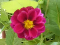 Garten 0016.webp