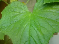 10072013275.webp