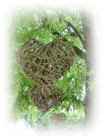 Baumherzen (2).webp