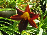 015_1024x768.webp