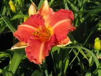 pretty fancy_1024x768.webp