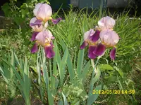 Sortieren 143.webp