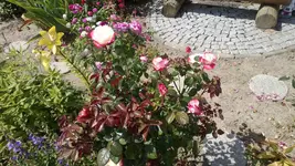 WP_20130709_003.webp