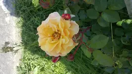WP_20130709_004.webp