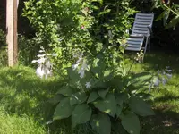 HPIM9757.webp