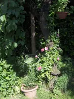 HPIM9758.webp