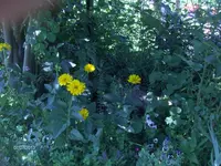 HPIM9759.webp