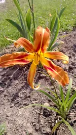 WP_20130705_006.webp