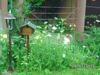 BILD3758.webp