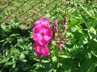 DSCF3692.webp