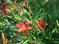 DSCF3693.webp