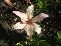 DSCF3695.webp