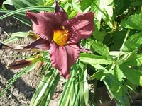 DSCF3697.webp