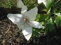 DSCF3696.webp