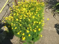 DSCF3698.webp