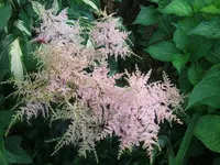 DSCF3702.webp