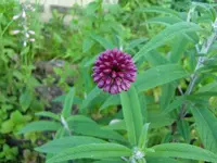 CIMG7333.webp