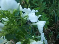 CIMG7379.webp