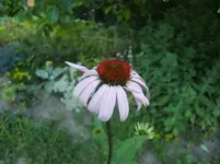 CIMG7415.webp