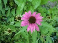 CIMG7412.webp