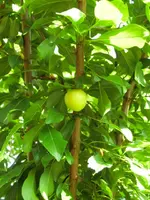 CIMG4012.webp
