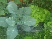 20130711_100923.webp