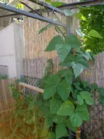 DSC01695.webp