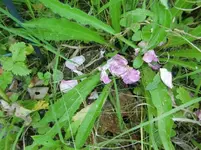 CIMG7453.webp
