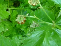 DSC03390.webp