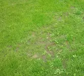 2013-07-11 14.34.00.webp