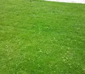2013-07-11 14.34.21.webp