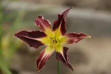 DSC09829+.webp