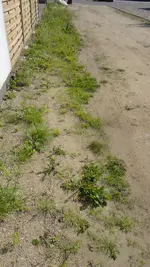 DSC07747.webp