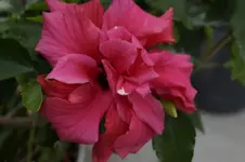 _DSC2146.webp