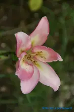 DSC09832.webp