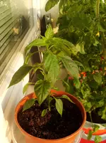SL370011.webp