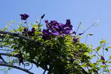 _DSC2100.webp