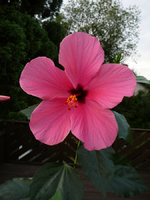 P1100132.webp