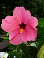 P1100133.webp