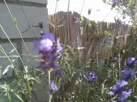 rps20130711_233207_401.webp
