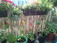 rps20130711_233529_455.webp
