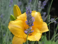 021.webp